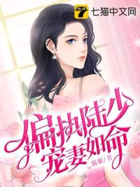 偏执陆少宠妻如命