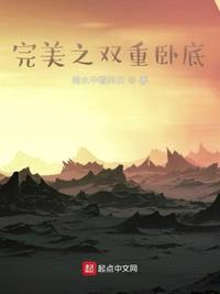 完美之双重卧底白夜