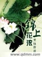 锦上花浓